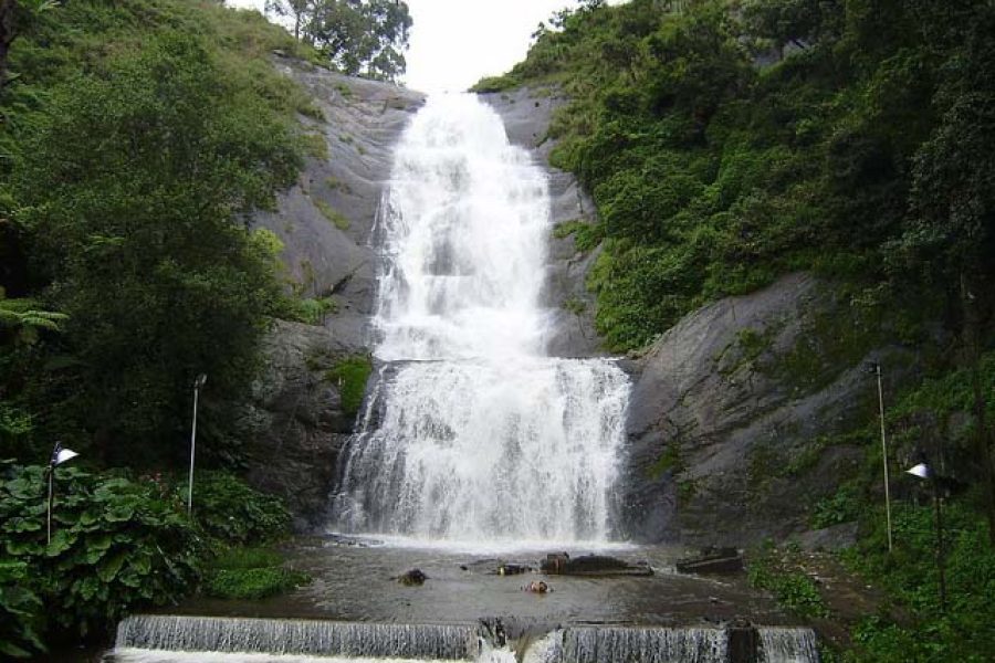 MYSORE, OOTY, KODAIKANAL Tour Packages